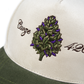 PURPLE − 420 CAP